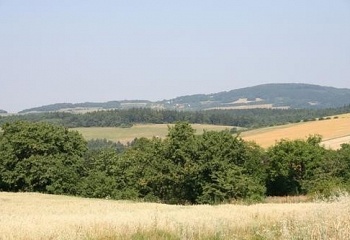 Rašov