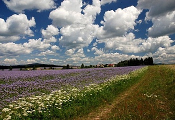 Klášterec nad Orlicí