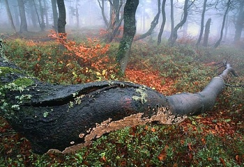 Horní Maršov