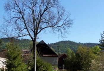 Jeřišno
