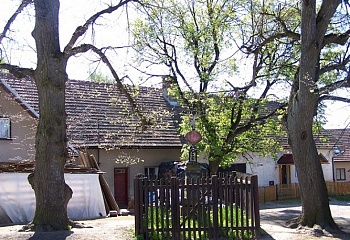 Jeřišno