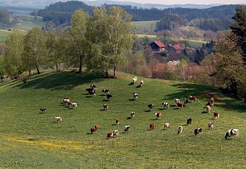 Písečná