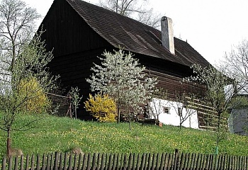 Jasenná