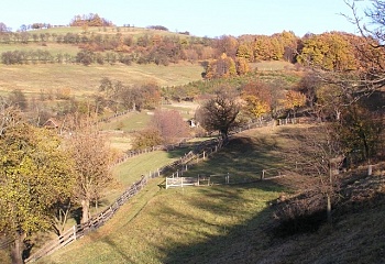 Jasenná