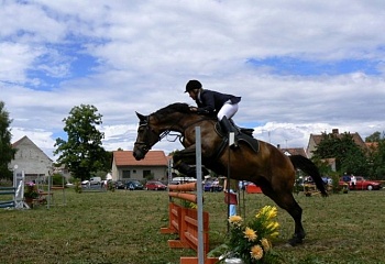 Petrovice