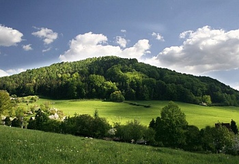 Kněžnice