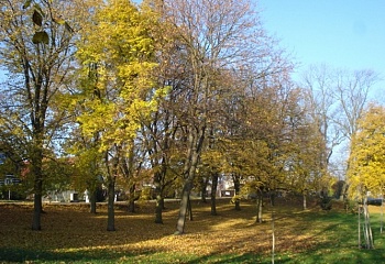 Kovač