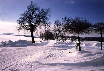 Velká Losenice