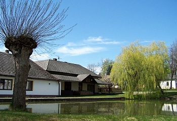 Vepřová