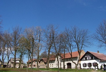 Vepřová