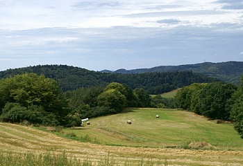 Rabyně