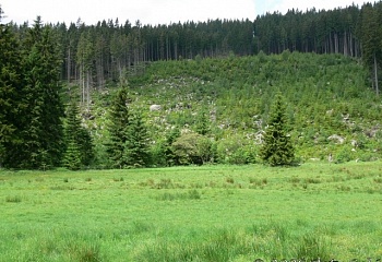 Pec pod Sněžkou