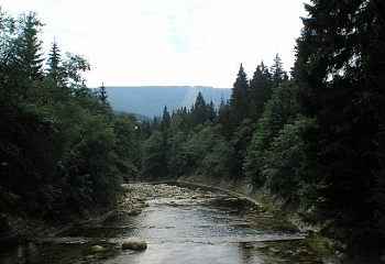 Pec pod Sněžkou