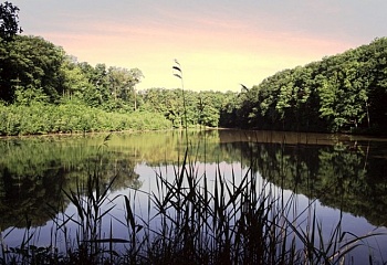 Rohoznice